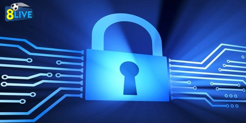 Hãy liên hệ ngay với 8live khi bạn gặp phải bất kỳ vấn đề gì khi sử dụng